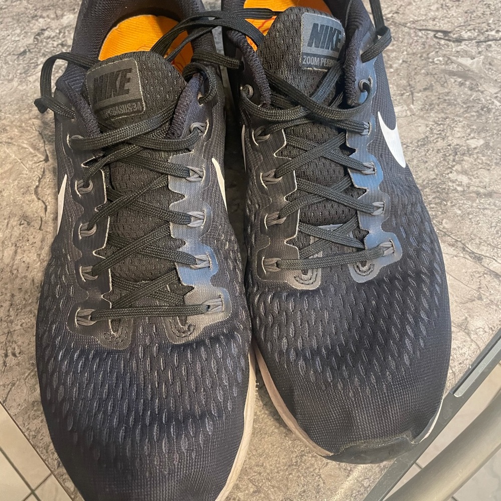 Nike Zoom Pegasus